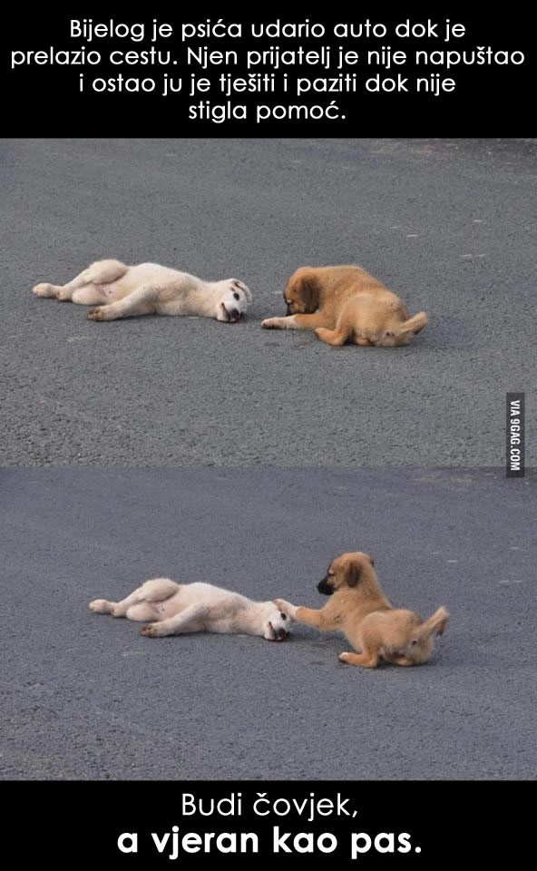 Ljubav u svom najljepšem obliku