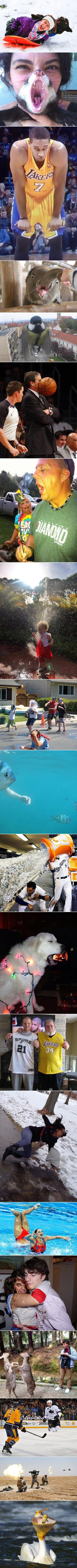 Ljudi koji su ovo fotografirali trebaju dobiti nagradu za najspretniije fotografe