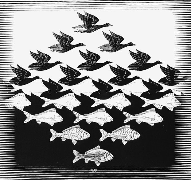 Optička iluzija: Koliko ptica i riba vidite na slici?