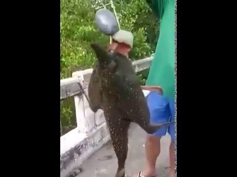 Ribari ulovili zastrašujuće biće iz morskih dubina