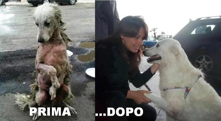 Sretan kraj: Od samoće i užasa do ljubavi i veselja