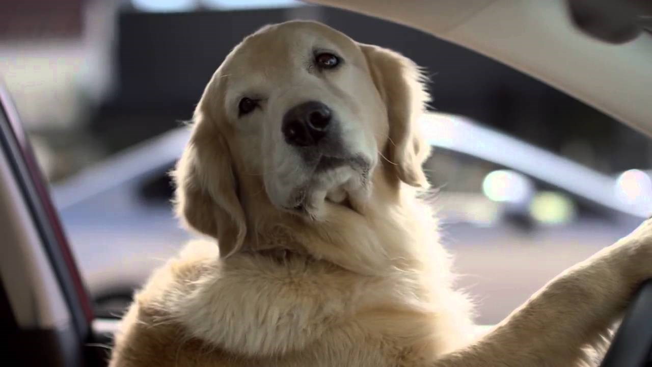 SUPER BOWL: Kad ti žena ima lošu frizuru, šuti i ostani živ