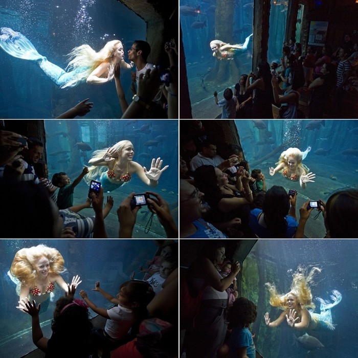 Kad te poljubi sirena
