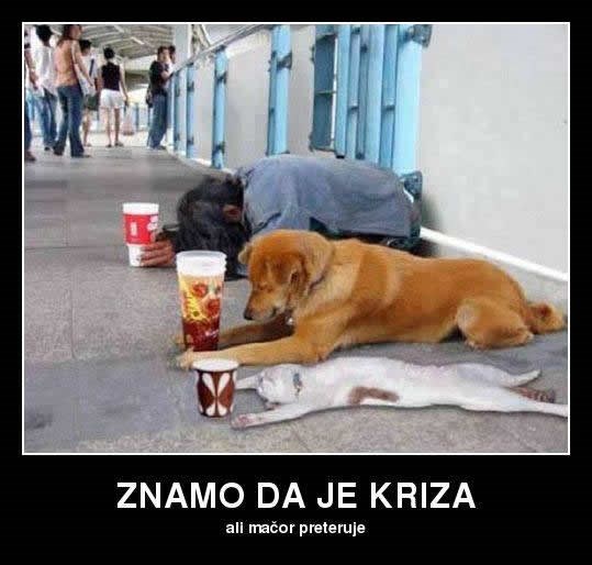 Čovjek pokušava skupiti za kruh, a mačka opet drami