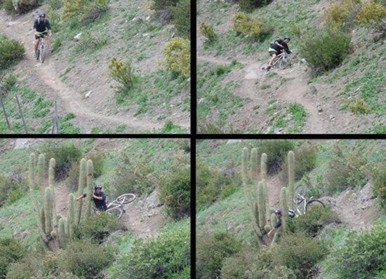 Fotodefinicija baksuza