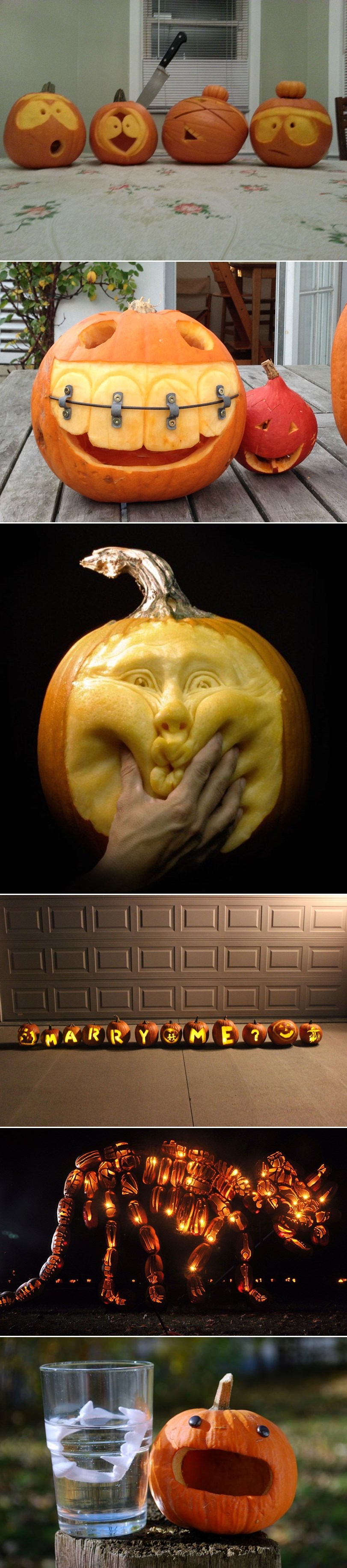 GALERIJA: Jesen donosi smijeh