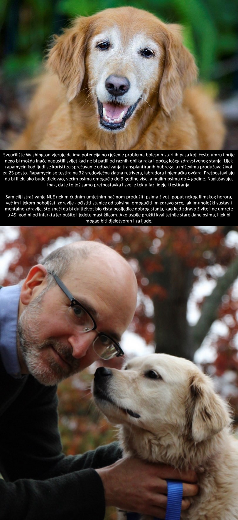 Otkriven lijek od kojeg bi psi živjeli dulje?