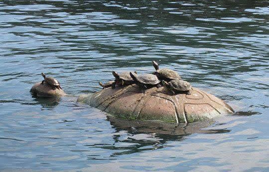 Obiteljski izlet: Najhrabriji s glave već zove na juriš!