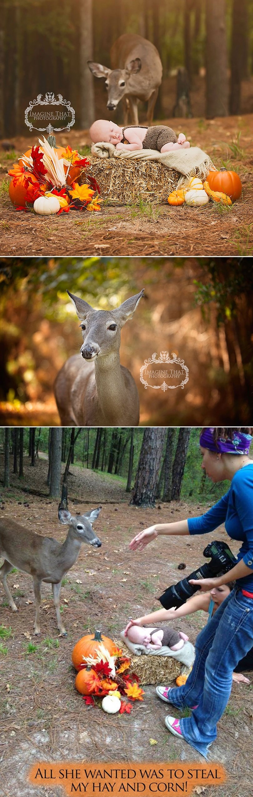 VIDEO: Najslađa fotobomba uljepšala bebino snimanje