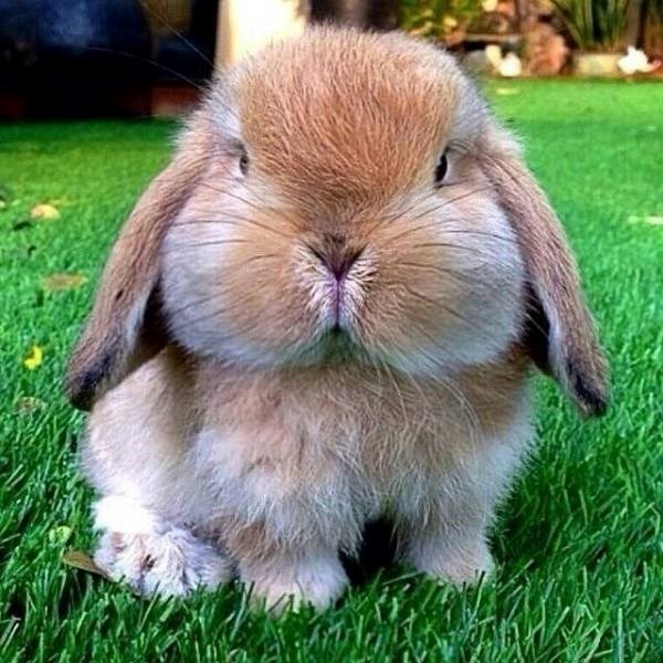 Fotografija kojoj ne treba naslov