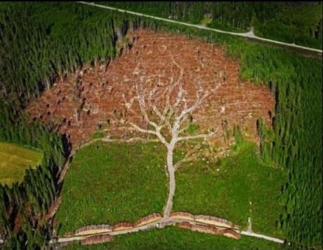 Ne možeš protiv prirode