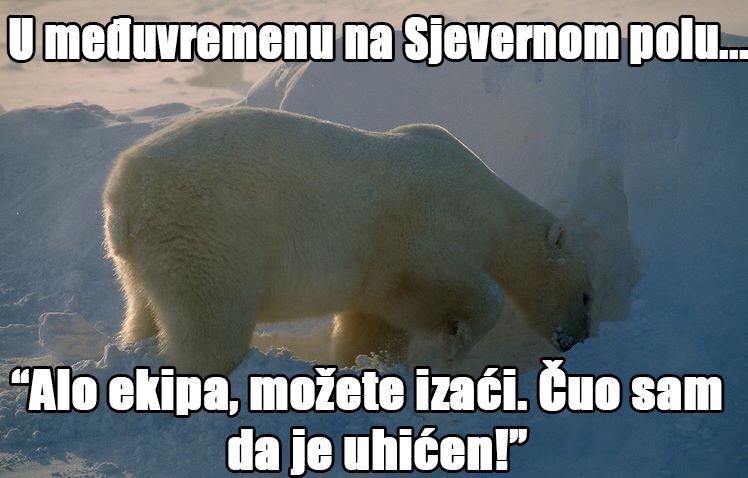 Polarni medvjedi proslavili uhićenje Vidoševića