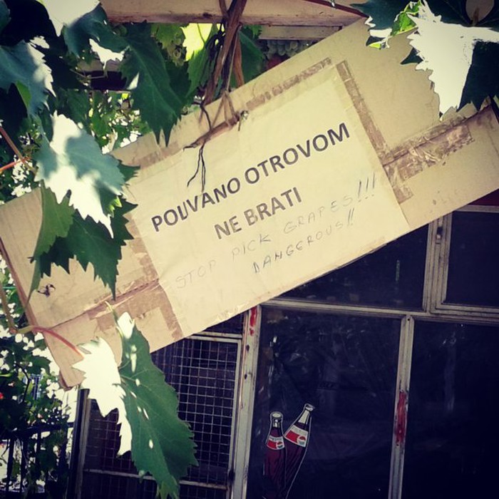 Pa ti budi lopov, ako imaš muda!