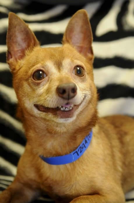 Fotka se za prvu osobnu, pa mu malo neugodno