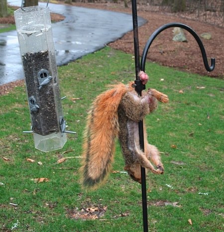 UPOZORENJE: Muški rod neka prebaci na drugu sliku