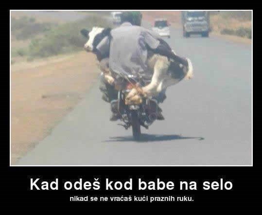 Kad se vraćaš od bake sa sela