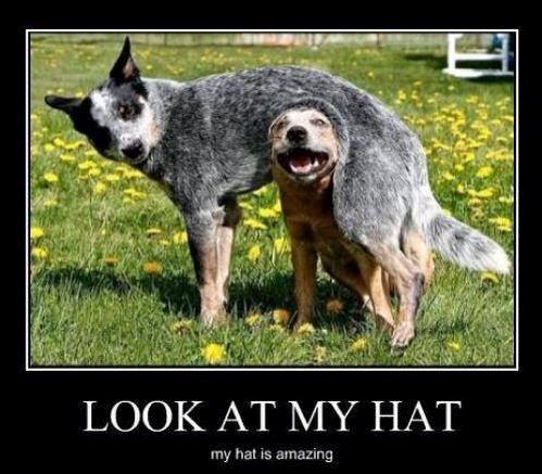 Ako nemaš bar jednog ludog prijatelja - ti nisi normalan