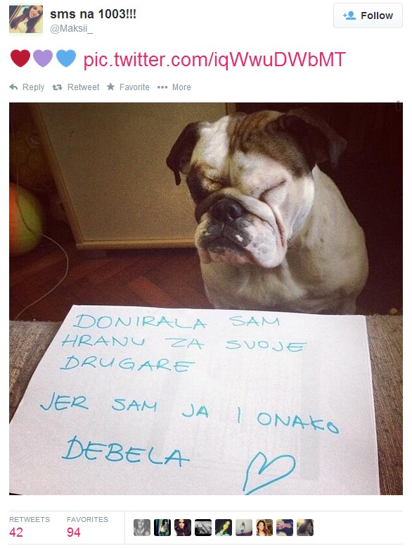 Bucmasta ljubimica donirala svoju hranu spašenim frendovima