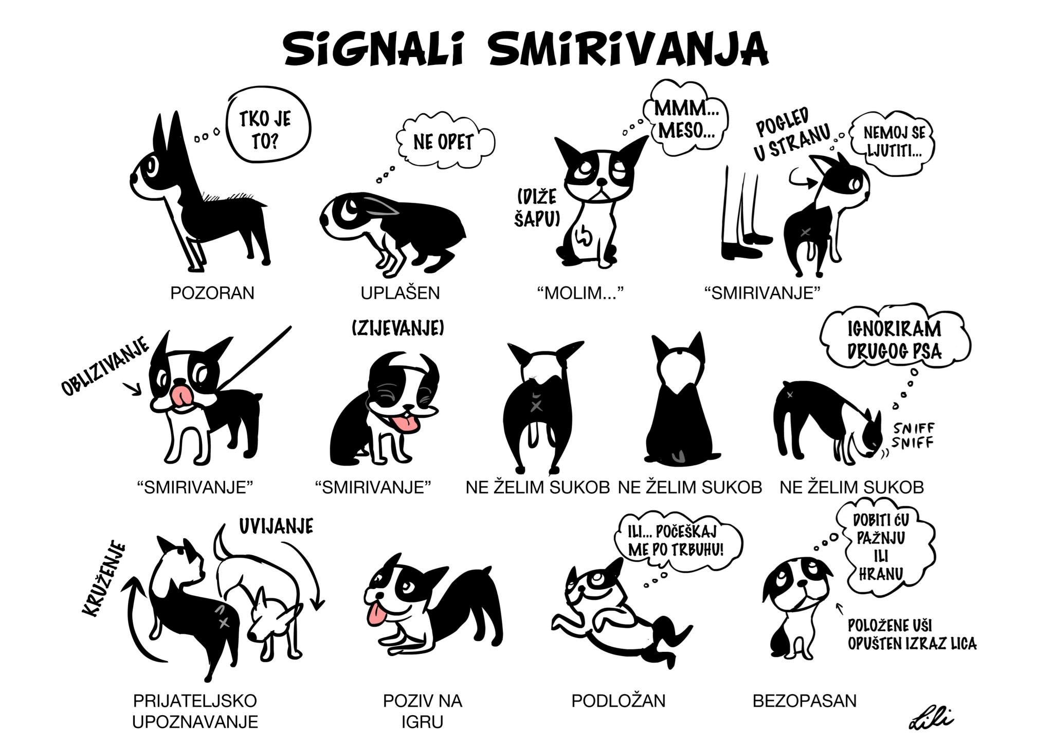 Naučit razgovarati sa svojim psićem NJEGOVIM jezikom
