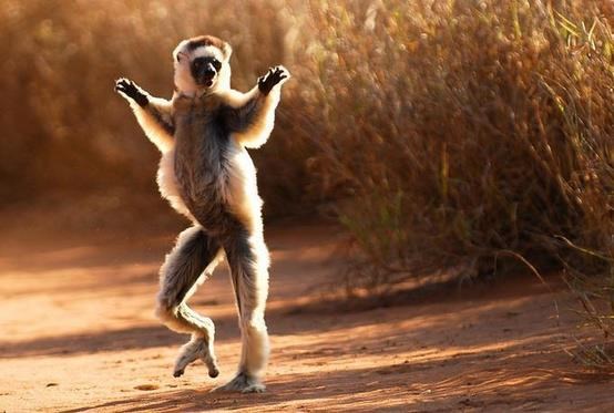 Smiri se, čovječe jedan, kontroliram situaciju!