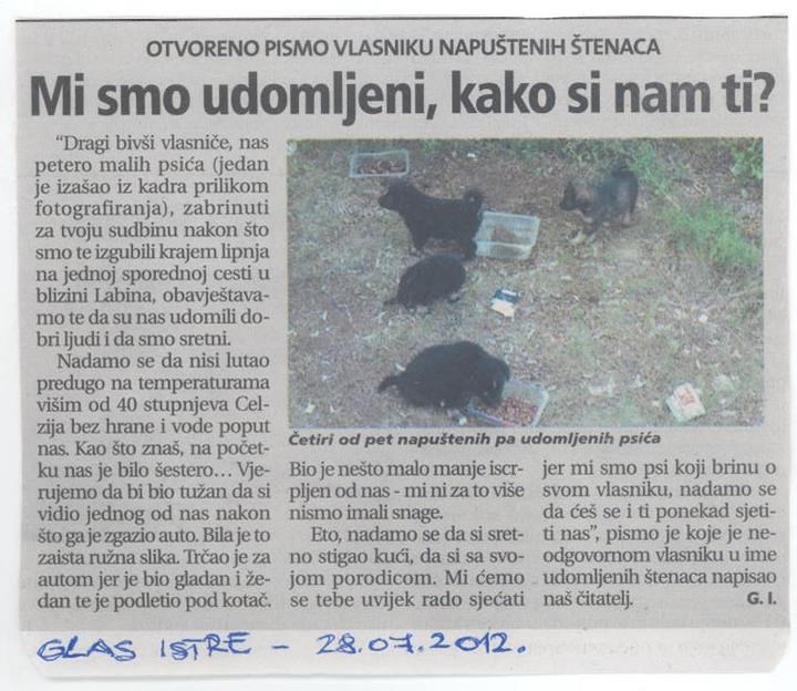 Napušteni psići bivšem gazdi "napisali pismo"