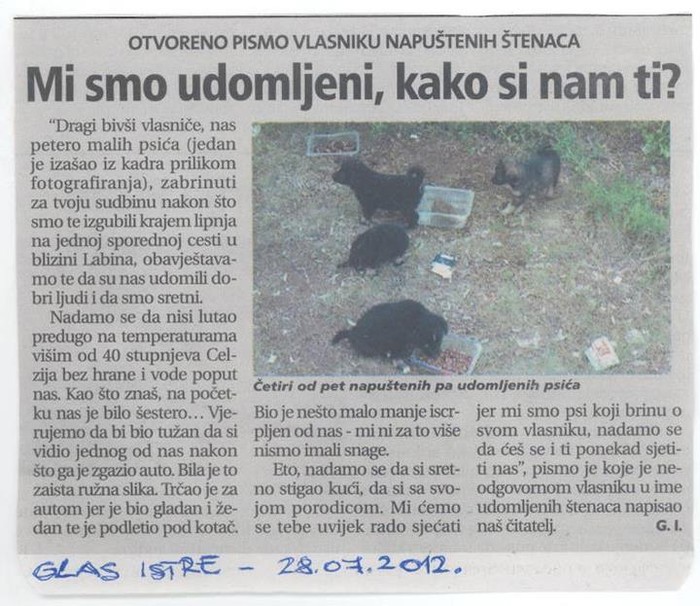 Napušteni psići bivšem gazdi "napisali pismo"