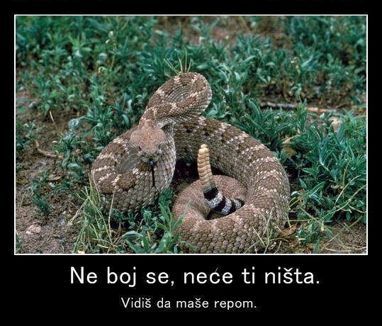 Ma neće te, neće, igrala bi se!