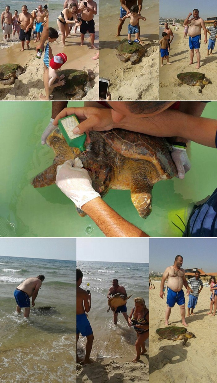 Poremećeni bolesnici premlaćivali morsku kornjaču za selfie
