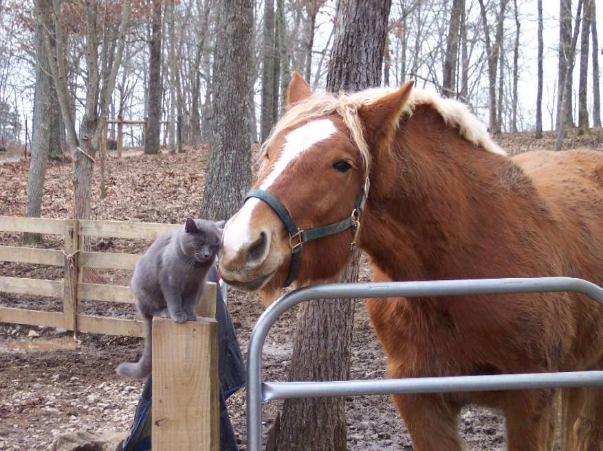 Tko smo mi da im sudimo