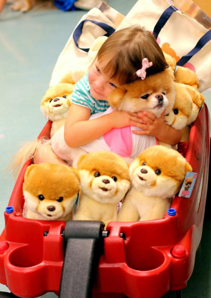 Najslađeg psića na svijetu umalo ugušila ljubavlju