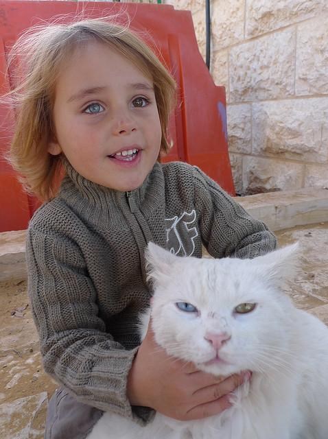 Klinac i maca oboje s raznobojnim očima