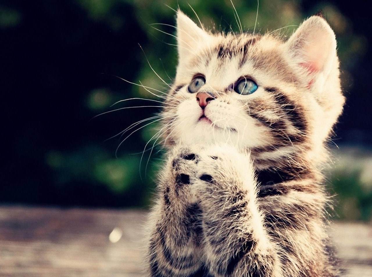 Kako smoći snage reći joj ne?