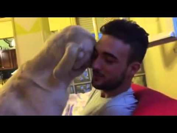 VIDEO: Pas očajnički želi da ga netko zagrli!