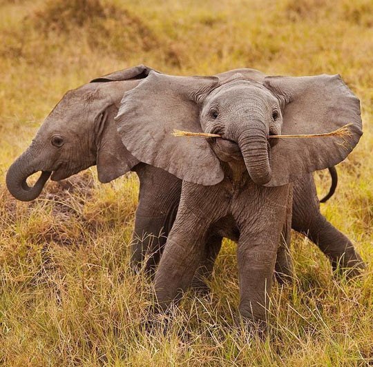 Malo mu za sreću treba..