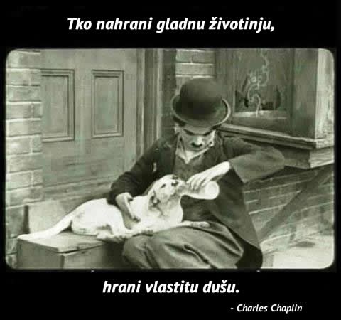 Tko nahrani gladnu životinju, hrani vlastitu dušu - Chaplin