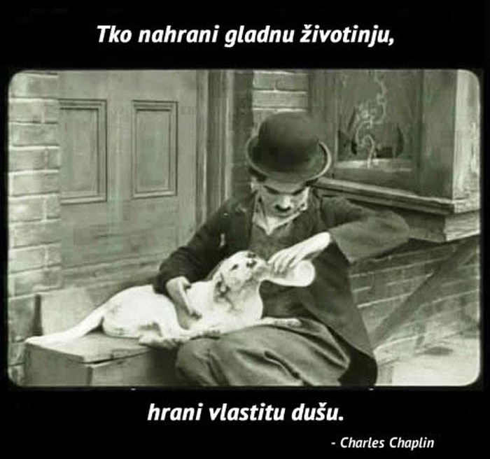 Tko nahrani gladnu životinju, hrani vlastitu dušu - Chaplin