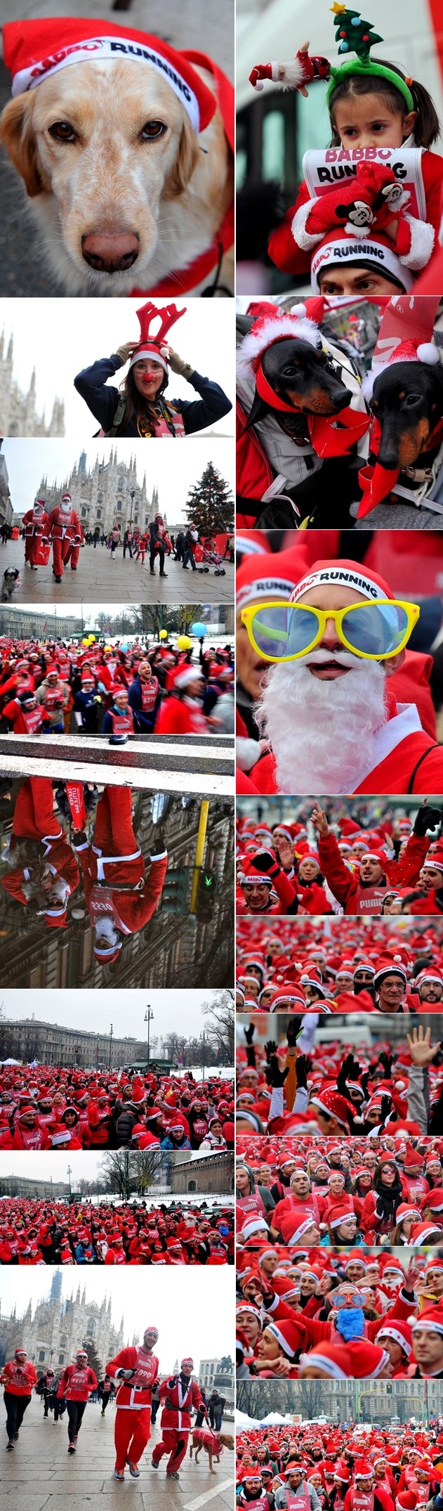 I psi sudjelovali u utrci Djedova Mrazova u Milanu