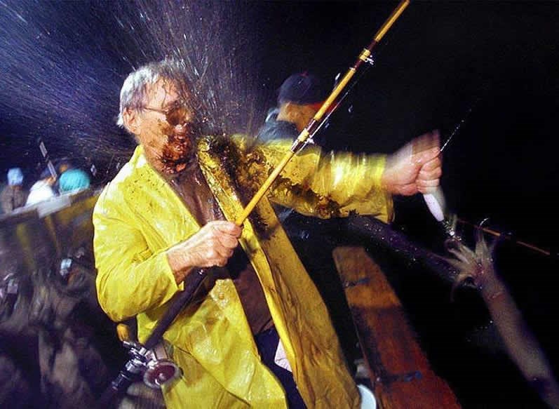 Posljednja osveta lignje!