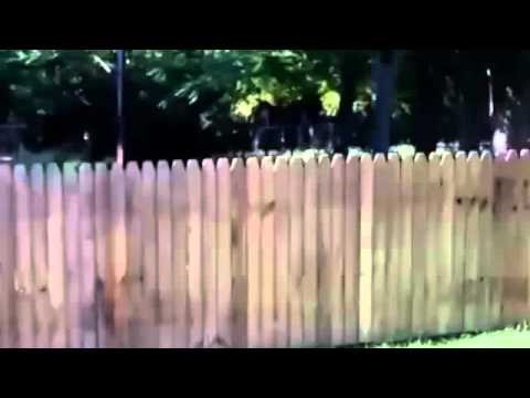 Vlasnik napravio ogradu za psa, pas izveo čudo!