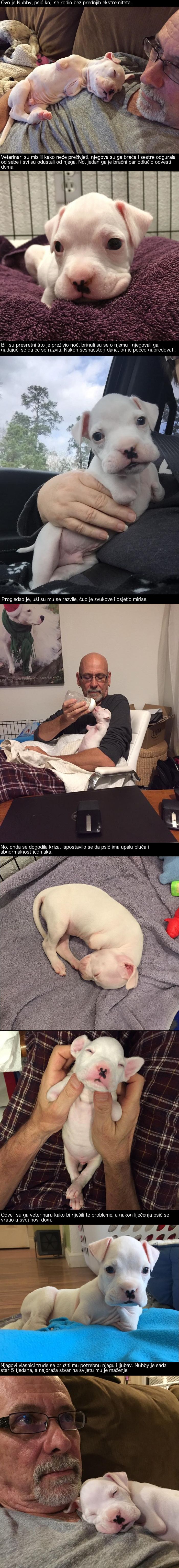 Svi su ga odbacili jer se rodio bez prednjih šapica, no ovi su ga ljudi primili u svoj dom