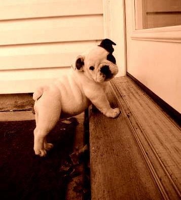 Danas vježba slatkoću