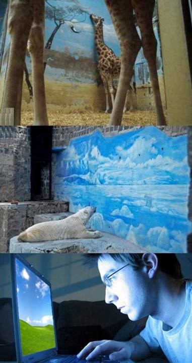 Živiš u kavezu - ako ne vjeruješ, pogledaj si wallpaper