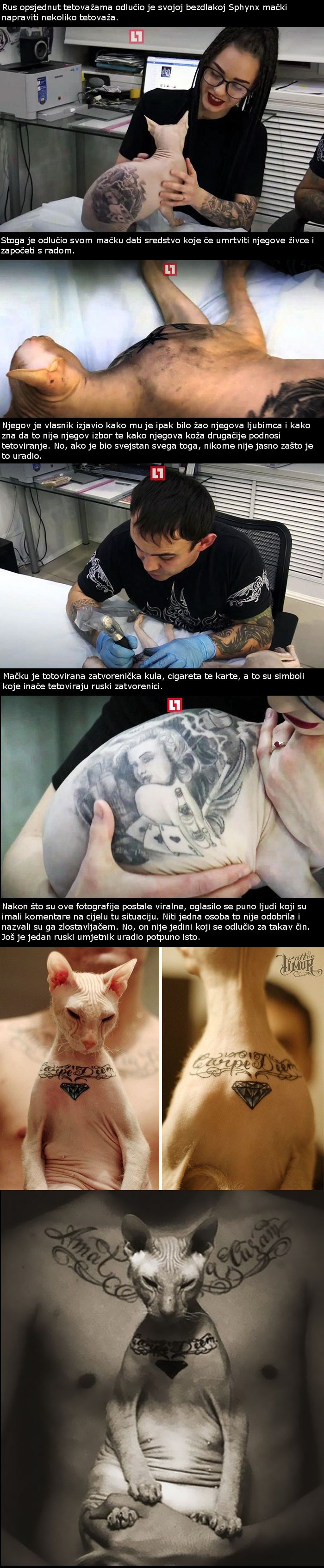 Ova su dva Rusa odlučila tetovirati svoje mačke