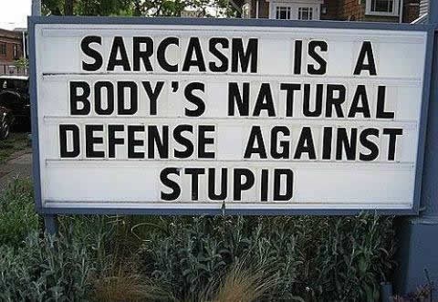 Kažu da glupi ljudi ne shvaćaju sarkazam
