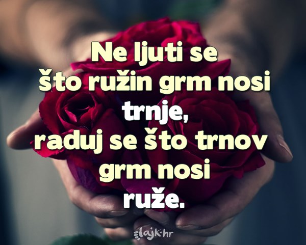 Sreća je stvar pogleda na život