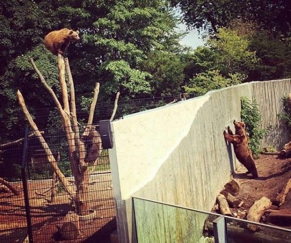 Srušite zid među njima, odmah!