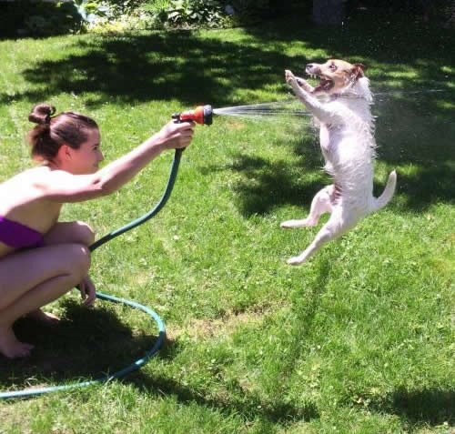 Ne trebaš skupe stvari za najveću sreću