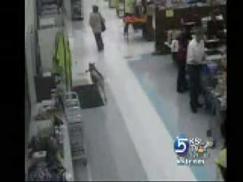 Dućan objavio snimku psa koji ih je orobio na Božić, evo što je ukrao