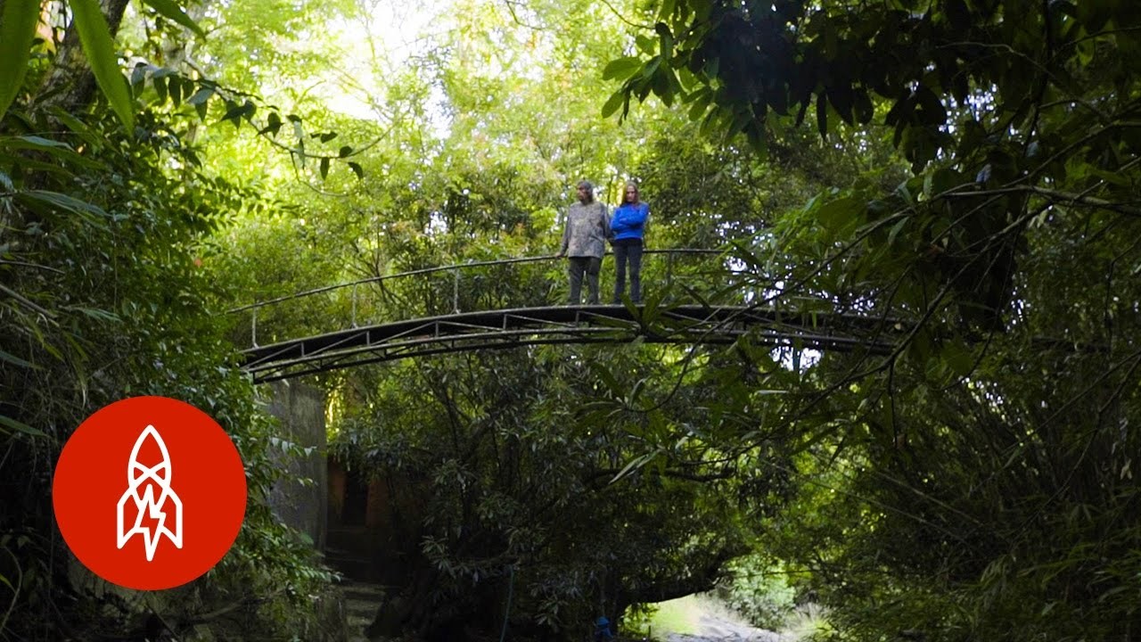 26 godina radili su na "oživljavanju"  prašume koju su kupili, a ovo su rezultati