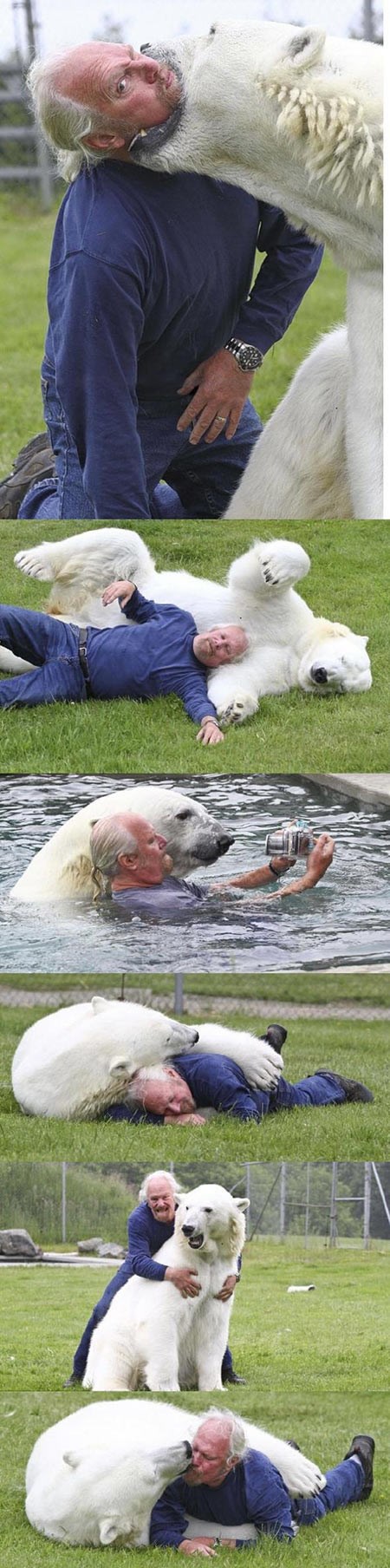 GALERIJA: Jedini čovjek na svijetu koji smije OVO s polarnim medvjedom